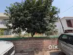 1 Kanal plot located in Phase 4,Mohali