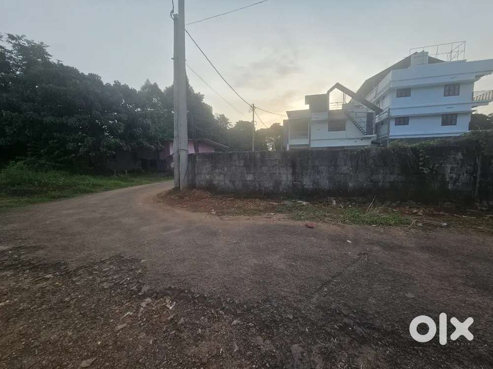 Aluva Rajagiri hospital 12cent land for sale