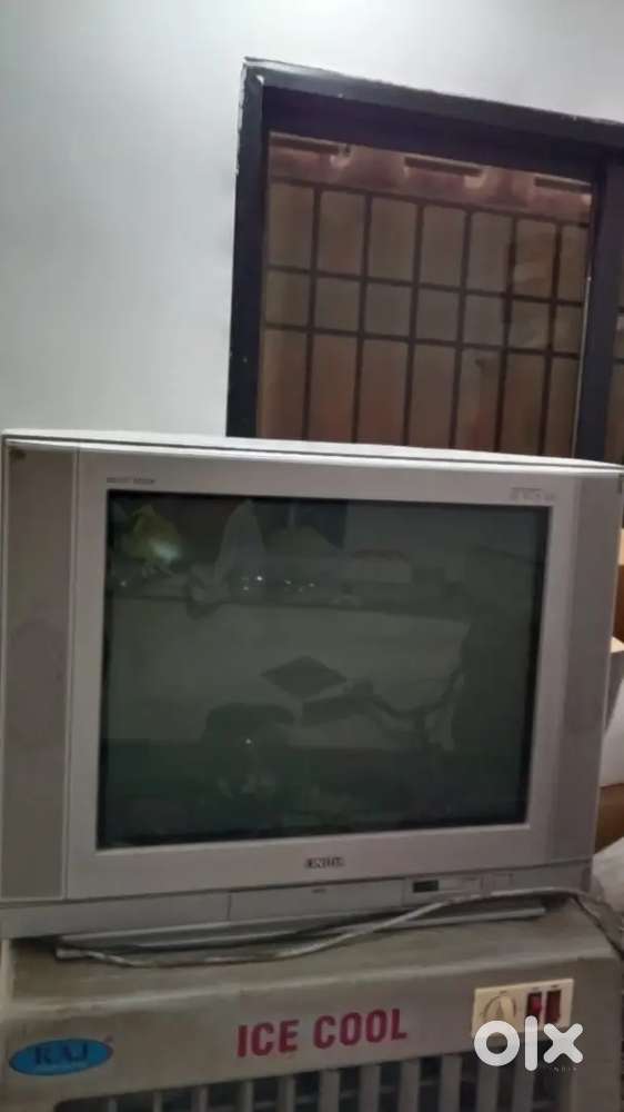TV ONIDA (campani)