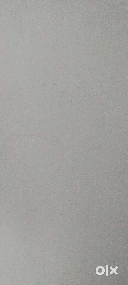 Wanted Executive Assistant