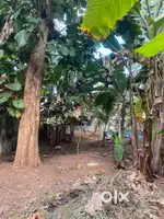 Road frontage Land for Rent