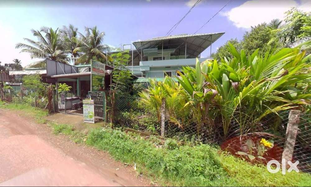 Plant nursery, Bakery & Stationery