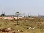 Sai asiyan Pvt Ltd