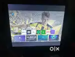 Zebester Monitor