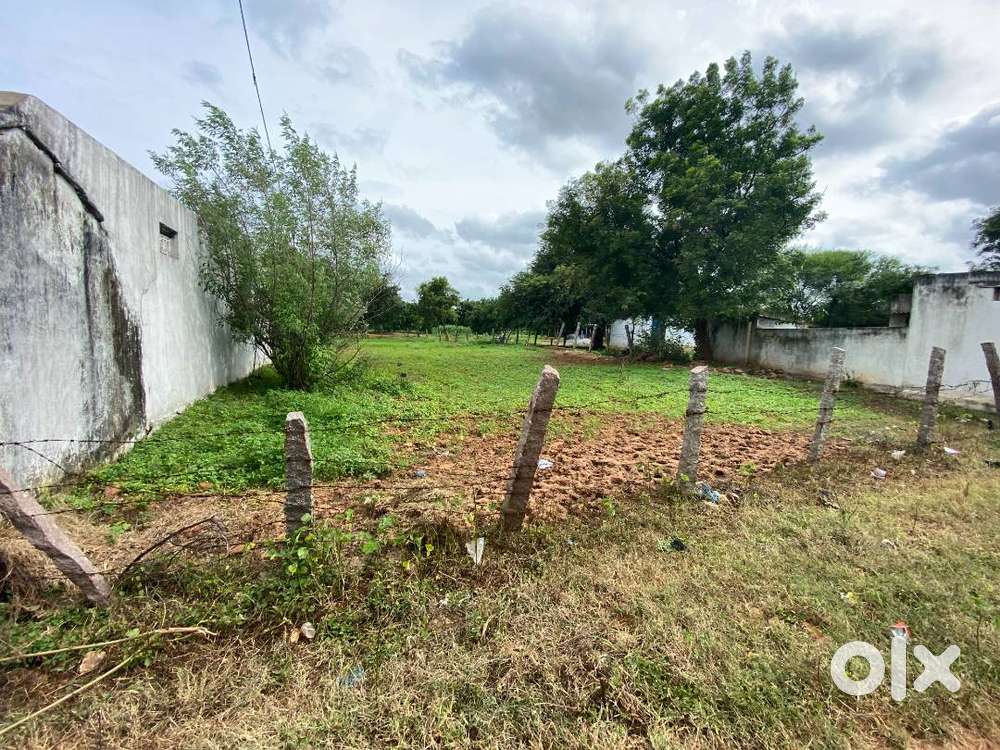 605 Sq Yards Plot for Sale – Shabad, Ranga Reddy District