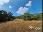 Farming Land sale 6acr fr 1.99cr only if anybody interested plz contac