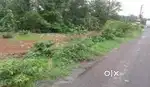 2100 gaj plot on road arjent sell 20 lakh per beegha