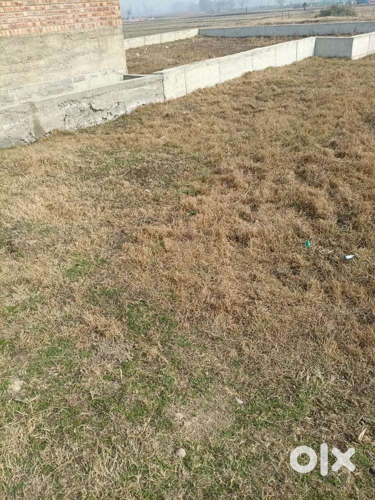 Noor bagh guzrabal Srinagar