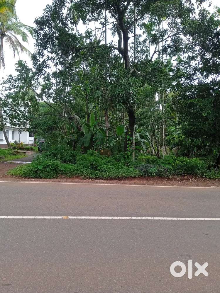 16 cent plot for sale