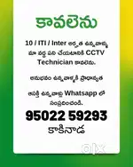 Urgent Requirement - Male Only