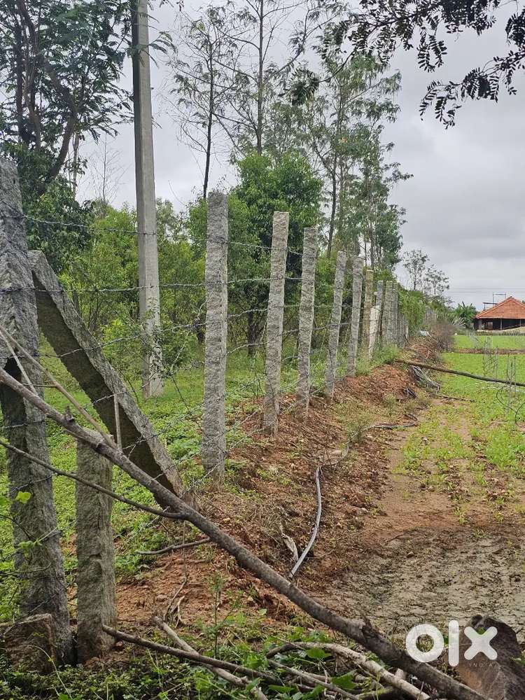 Empty land and shed for rent in soukya road on main road