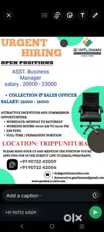 collection executive