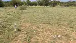 Residential plot at Gundur, Trichy is for sale