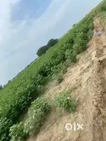 1.5 kille zameen solar motor laggi hai