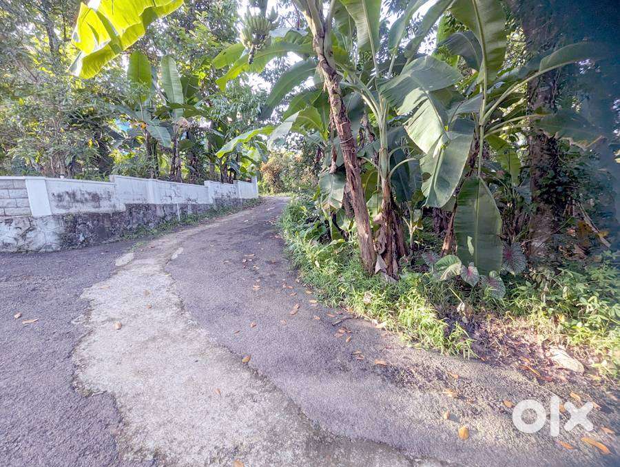 House plot 9.5 cent near MC road Caritas 5 lakh/cent