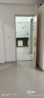Need a professional male person as a roommate