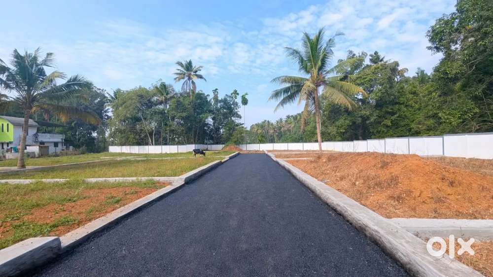 Karukutty Adlux & Apollo Hospital Route-Budget Friendly Plots-3L DP