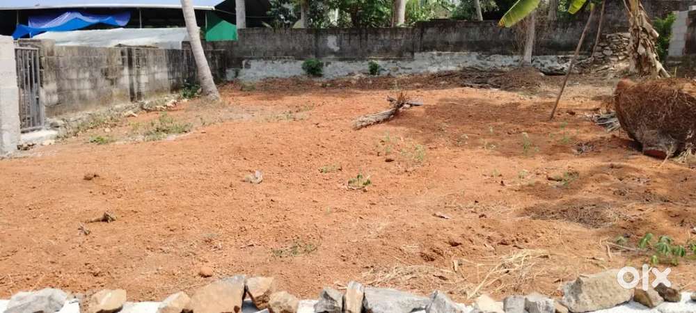 തിരുവനന്തപുരം ജില്ലയിൽ Kattaikonam  6 സെന്റ് സ്ഥലം വില്പനയ്ക്ക്