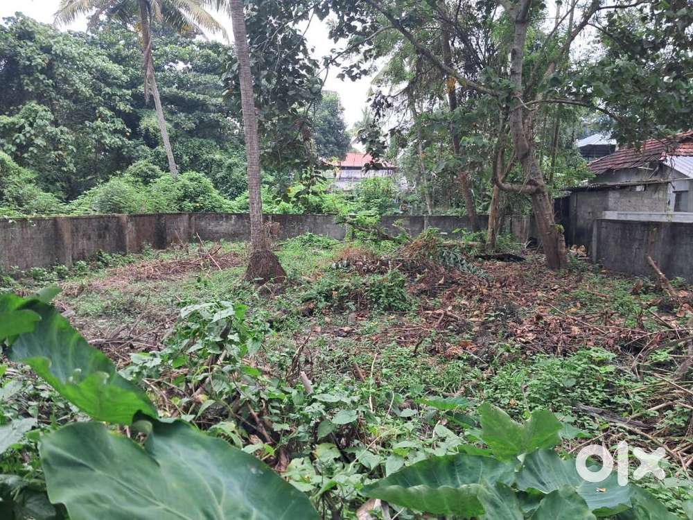 5.5 Cents of Land in Eroor.