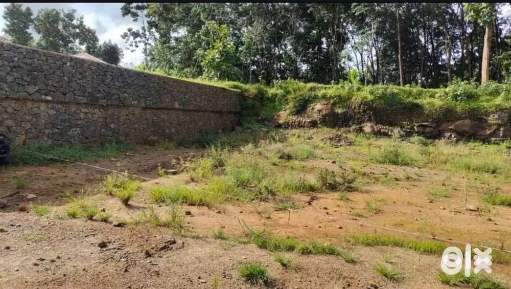 6.5 cent kannadicity,Muvattupuzhayil ninnu 5 kg