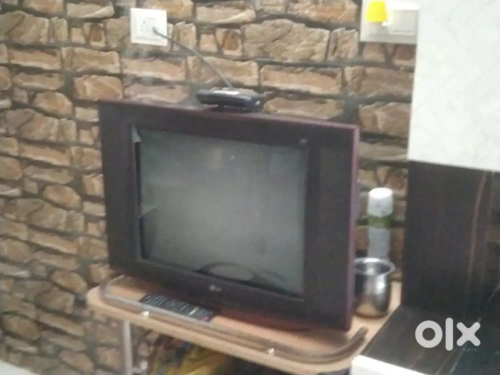 TV  FULLY WORKING WITH REMOTE