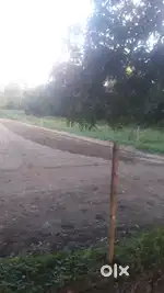 Land in jahangirabad anupshar खेती की जमीन जहांगीराबाद अनूपशहर रोड पर
