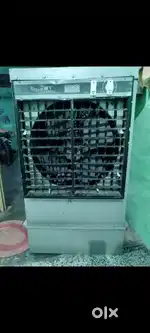 Cooler 1 year old