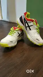 Cricket Spikes shoes, Size 6