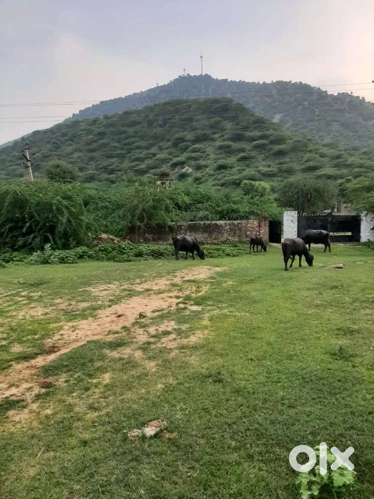 Harsh village,bhoiya road , UIT area.