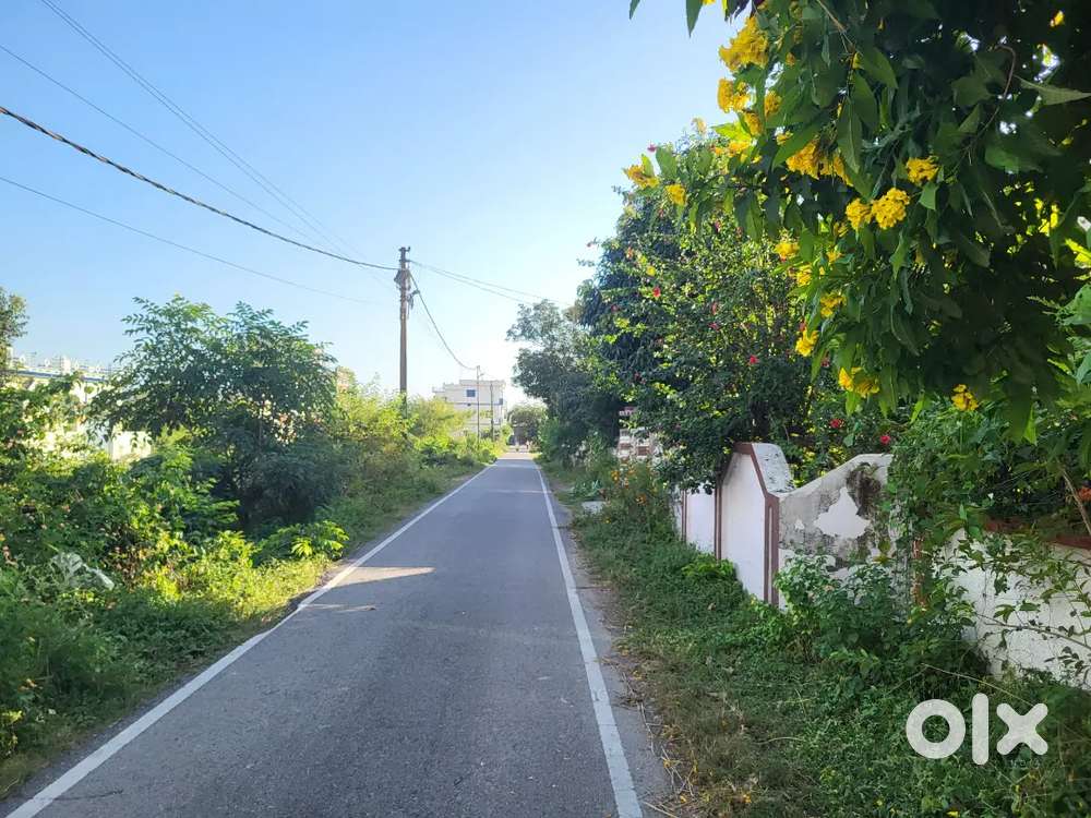 Maid - For home cooking