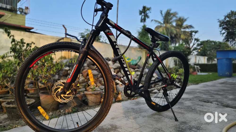 Keysto Bicycle , Dual disc brakes , single gear.