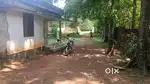 നീണ്ടുർ പ്രവട്ടം മെയിൽ റോഡ് അടുത്തു 25cnt, ഒന്നായോ, 3പ്ലോട്ട് ആയോ,