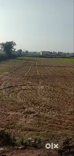 Prime Agricultural Land for Sale - Sholakha Village, Hodal, Haryana
