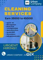 Professional Cleaning Service