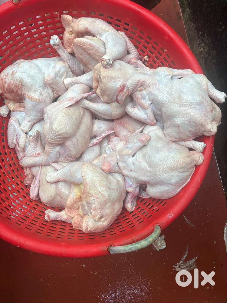 Chicken cutting master