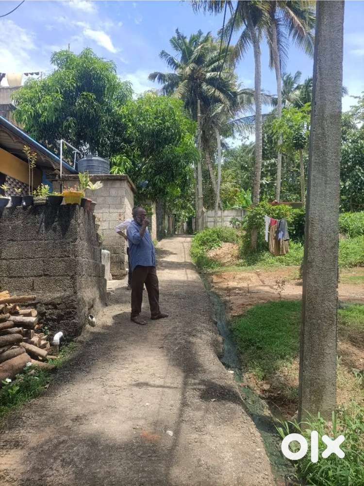 15 cent plot for sale