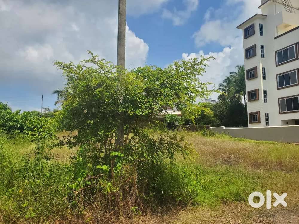 500 sq mt plot at chicolna for sale