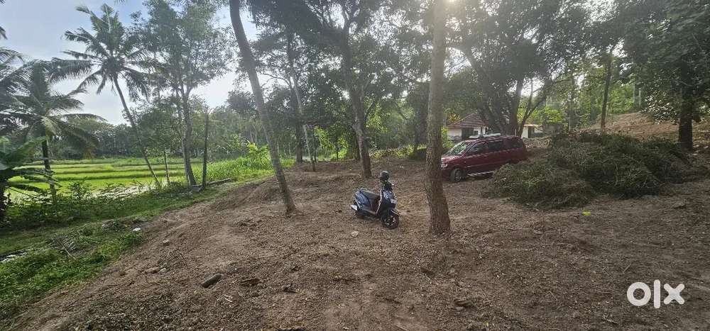 East facing Land for sale at Kavalayoor ( near village office)