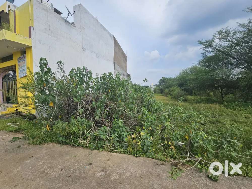 Selling plot in tifra