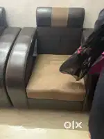 1 years old sofa in good condition