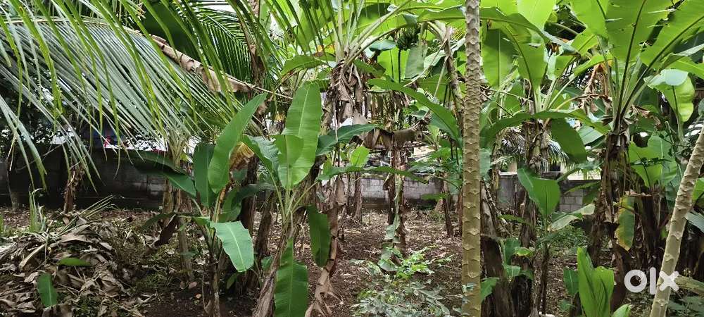 കൊല്ലം അയത്തിൽ സമീപം ഹൗസ് പ്ലോട്ടുകൾ വിൽപ്പനയ്ക്ക്