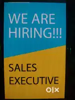 Hiring Sales Executive.