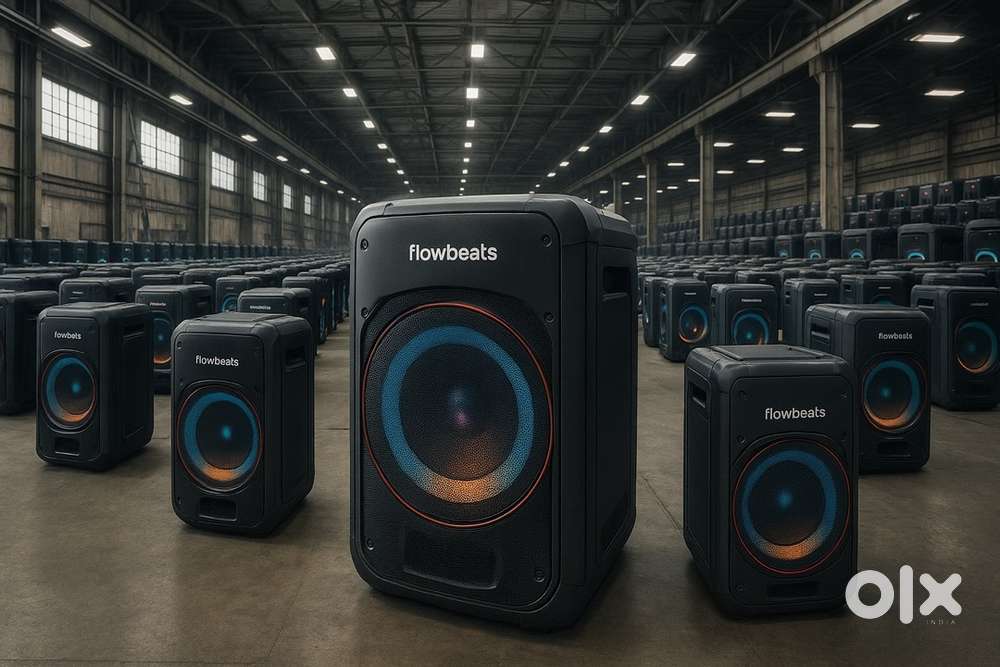 Back office Executives