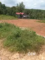 Plot for Sale