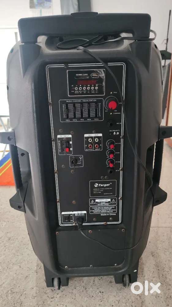 Target audio 15 inch speaker with Bluetooth, FM mode and Effects.