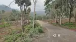 23 Cent farm plot for sale near pannaikadu pirivu, kodaikanal