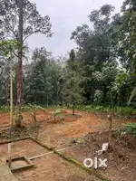 കോതമംഗലം ടൗണിൽ നിന്ന് 7km മാറി 33 cent squre plote