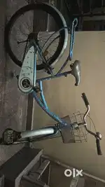 Last bird cycle