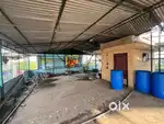 Zoomba dance clss