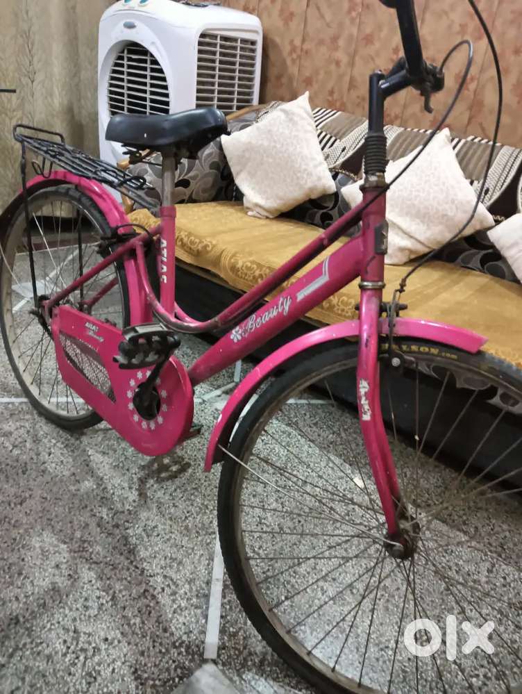 Atlas Beauty Bicycle